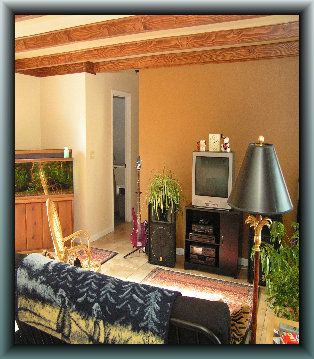 remodelingyou001002.jpg